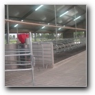 [Click voor grote foto]
